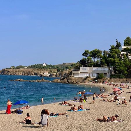 Studio Moderne Argeles Sur Mer.La Plage A Pieds, Espagne A 30Mn Exterior foto