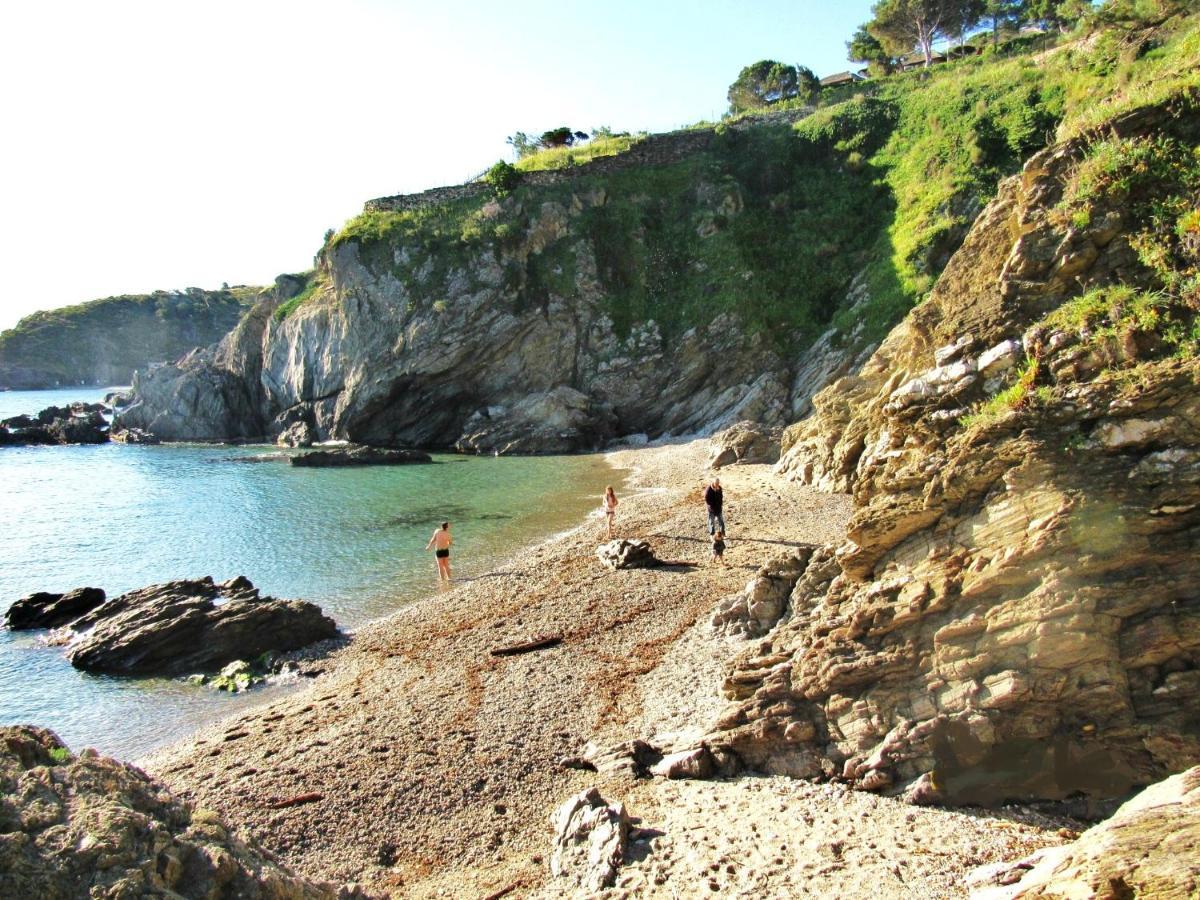 Studio Moderne Argeles Sur Mer.La Plage A Pieds, Espagne A 30Mn Exterior foto