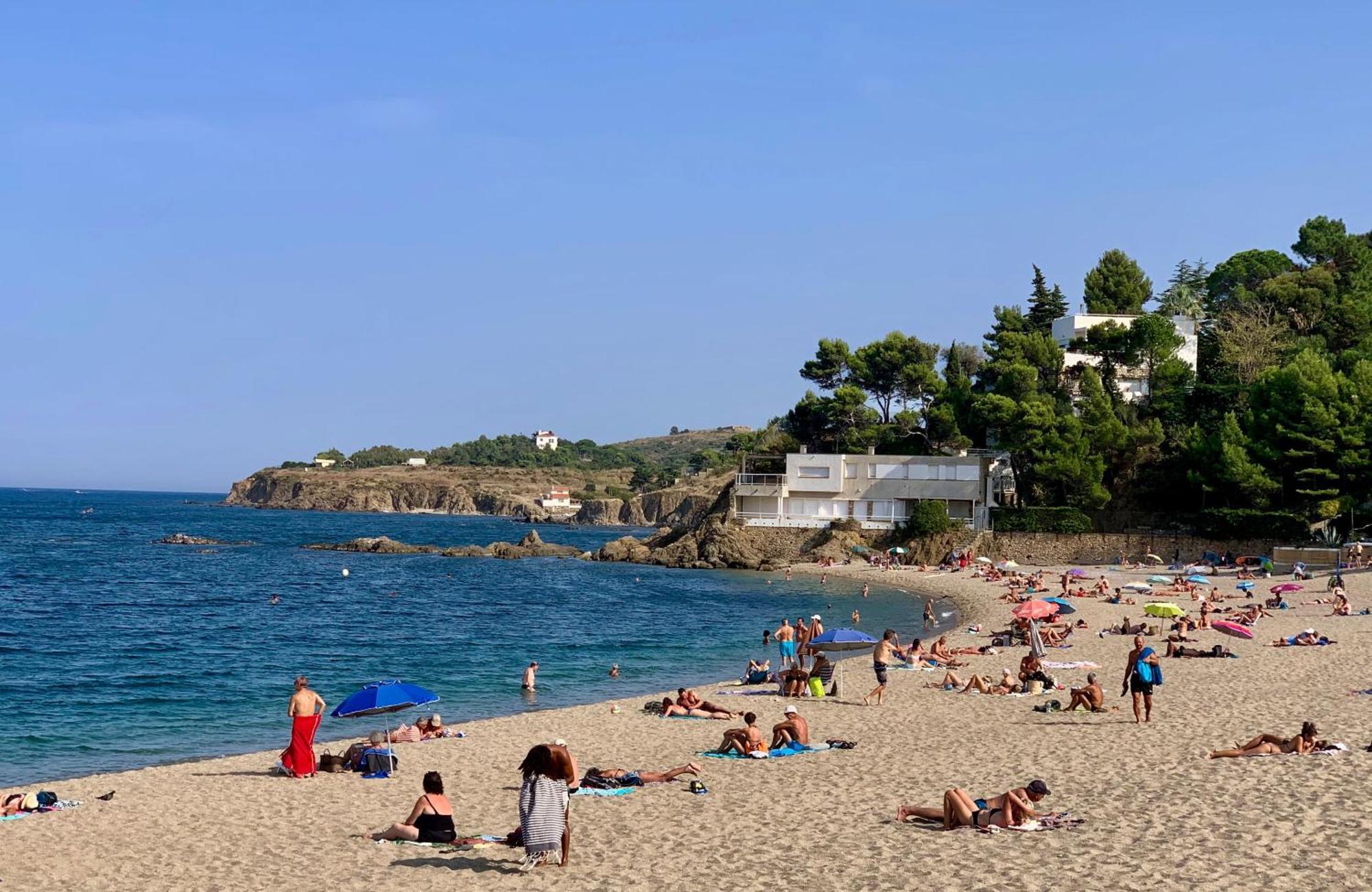 Studio Moderne Argeles Sur Mer.La Plage A Pieds, Espagne A 30Mn Exterior foto